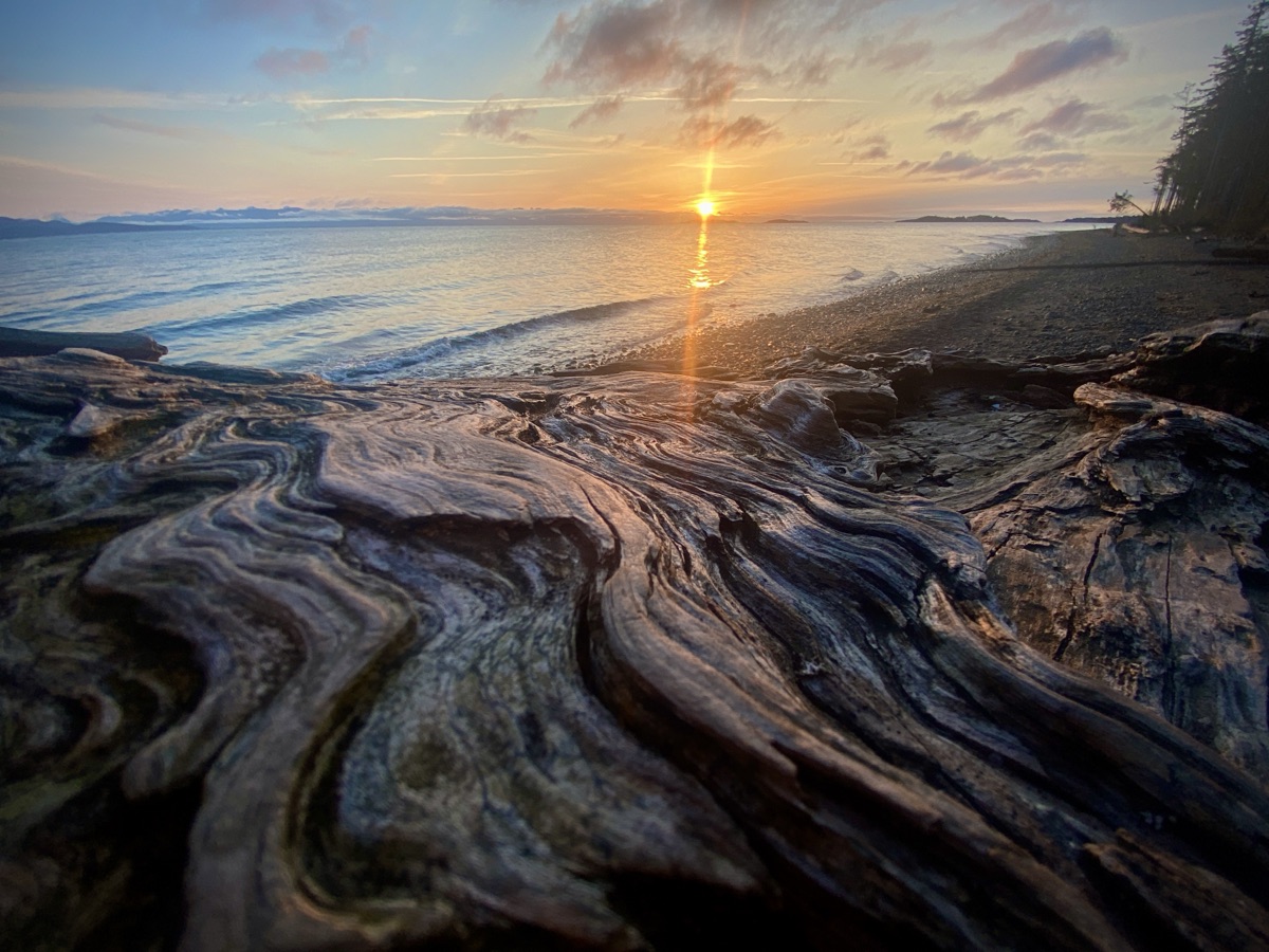 Parksville beach sunset with driftwood